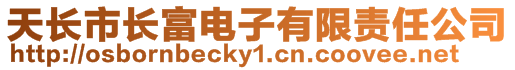 天長市長富電子有限責任公司