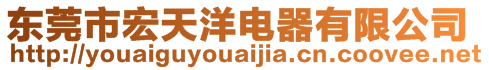 東莞市宏天洋電器有限公司