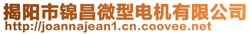 揭陽市錦昌微型電機有限公司