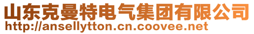 山东克曼特电气集团有限公司