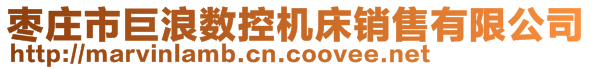 棗莊市巨浪數(shù)控機床銷售有限公司