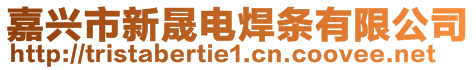 嘉興市新晟電焊條有限公司
