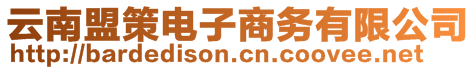 云南盟策電子商務有限公司