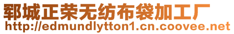 鄆城正榮無紡布袋加工廠