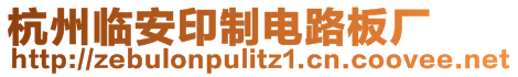 杭州臨安印制電路板廠
