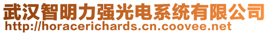 武漢智明力強光電系統有限公司