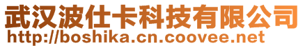 武漢波仕卡科技有限公司