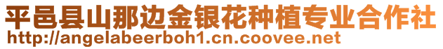 平邑縣山那邊金銀花種植專業(yè)合作社