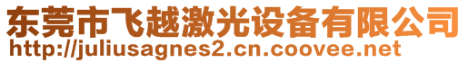 东莞市飞越激光设备有限公司