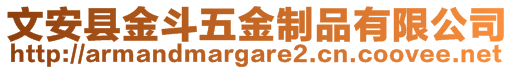 文安縣金斗五金制品有限公司