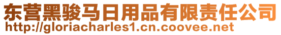 東營(yíng)黑駿馬日用品有限責(zé)任公司