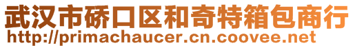 武漢市硚口區和奇特箱包商行