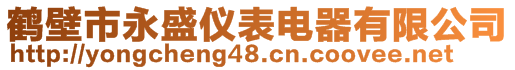 鹤壁市永盛仪表电器有限公司