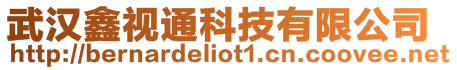 武漢鑫視通科技有限公司
