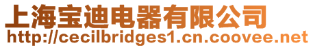 上海寶迪電器有限公司
