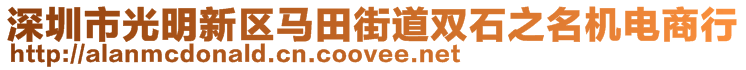 深圳市光明新區(qū)馬田街道雙石之名機電商行