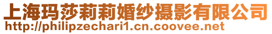 上?，斏蚶蚧榧啍z影有限公司