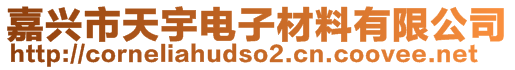 嘉興市天宇電子材料有限公司