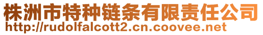 株洲市特种链条有限责任公司