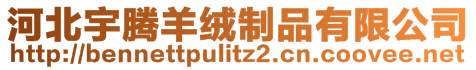 河北宇腾羊绒制品有限公司