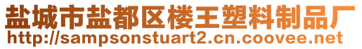 鹽城市鹽都區樓王塑料制品廠