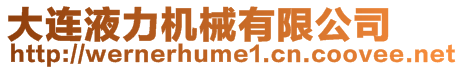 大連液力機械有限公司
