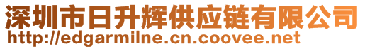 深圳市日升輝供應(yīng)鏈有限公司