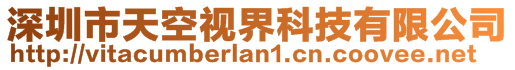 深圳市天空視界科技有限公司