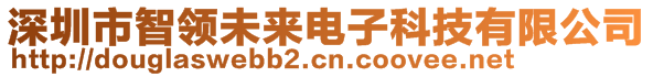 深圳市智領(lǐng)未來(lái)電子科技有限公司