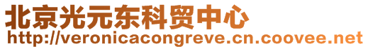 北京光元東科貿(mào)中心