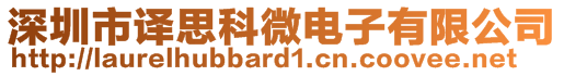 深圳市譯思科微電子有限公司