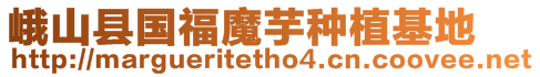 峨山縣國福魔芋種植基地