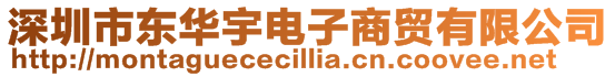 深圳市東華宇電子商貿(mào)有限公司