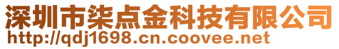 深圳市柒點金科技有限公司