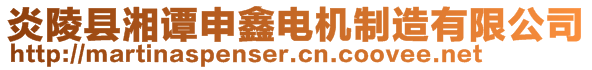 炎陵縣湘譚申鑫電機制造有限公司