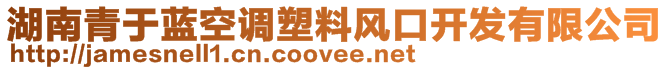 湖南青于藍(lán)空調(diào)塑料風(fēng)口開(kāi)發(fā)有限公司