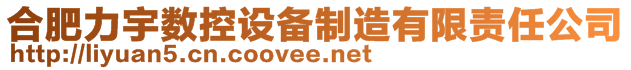 合肥力宇數(shù)控設(shè)備制造有限責(zé)任公司