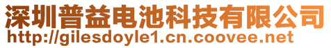 深圳普益電池科技有限公司