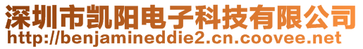 深圳市凯阳电子科技有限公司