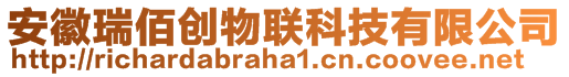 安徽瑞佰創(chuàng)物聯(lián)科技有限公司