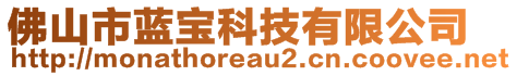 佛山市藍寶科技有限公司