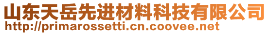 山东天岳先进材料科技有限公司