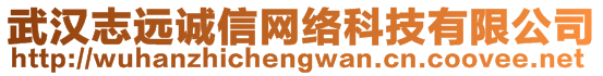 武漢志遠誠信網(wǎng)絡科技有限公司