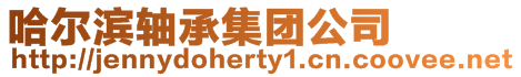 哈爾濱軸承集團公司