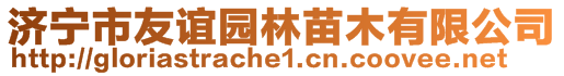 濟寧市友誼園林苗木有限公司