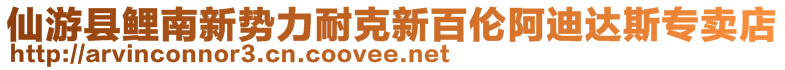 仙游縣鯉南新勢(shì)力耐克新百倫阿迪達(dá)斯專賣店