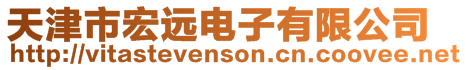 天津市宏遠電子有限公司