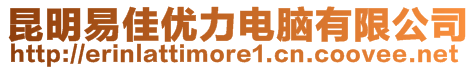 昆明易佳優(yōu)力電腦有限公司