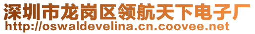 深圳市龍崗區(qū)領(lǐng)航天下電子廠