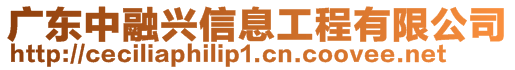 廣東中融興信息工程有限公司